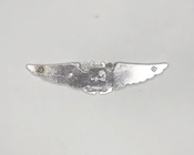 USCG Auxiliary silver pilot wings device - back